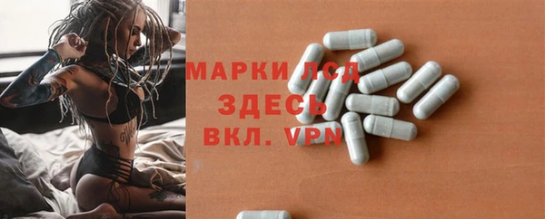 соль ск Пересвет