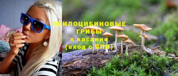 ПСИЛОЦИБИНОВЫЕ ГРИБЫ Аркадак
