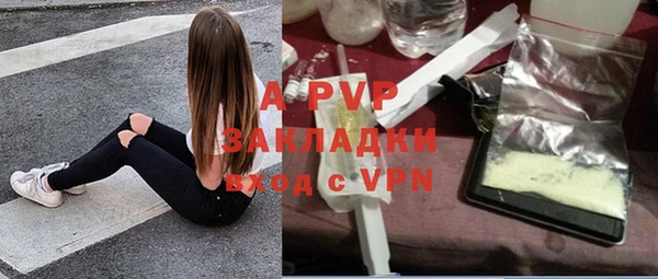 ПСИЛОЦИБИНОВЫЕ ГРИБЫ Аркадак